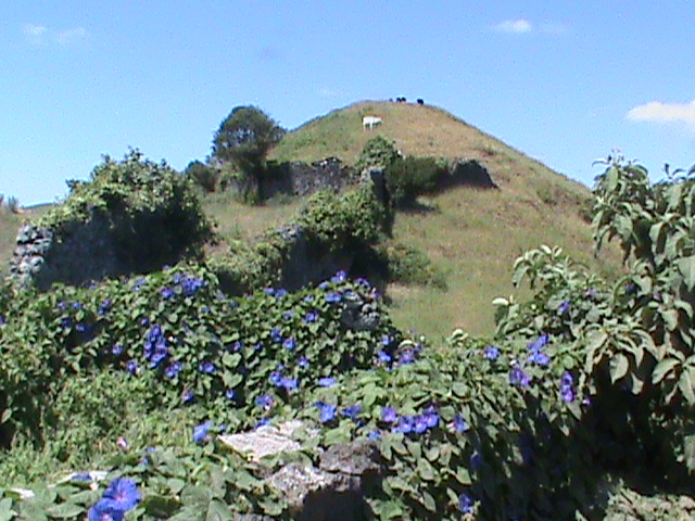 090830c.JPG