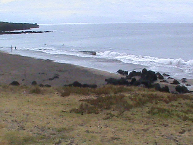 090831d.JPG