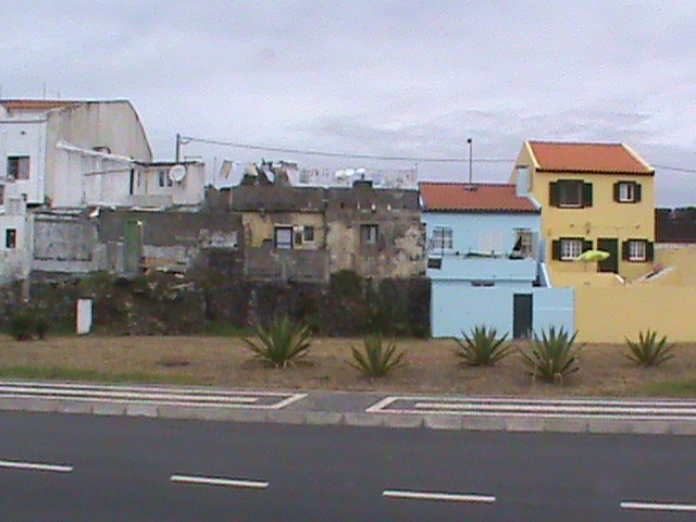 090831f.JPG