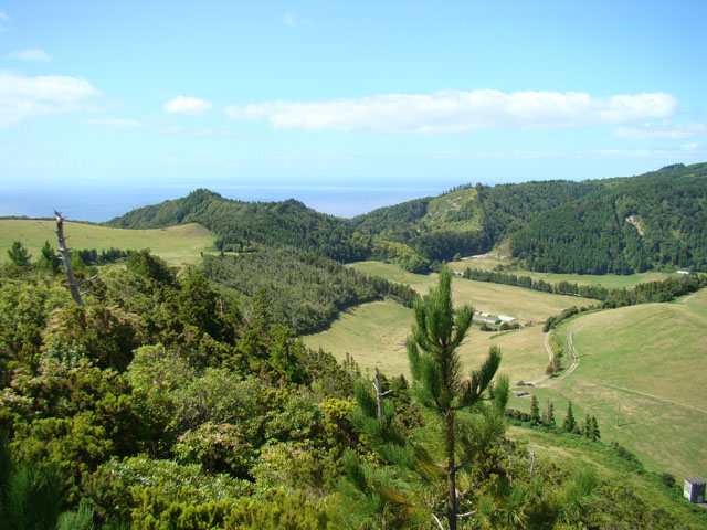 090901f.JPG