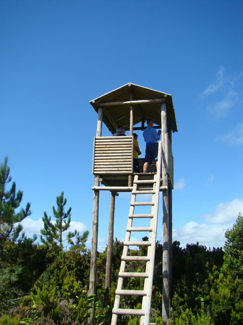 090901g.JPG