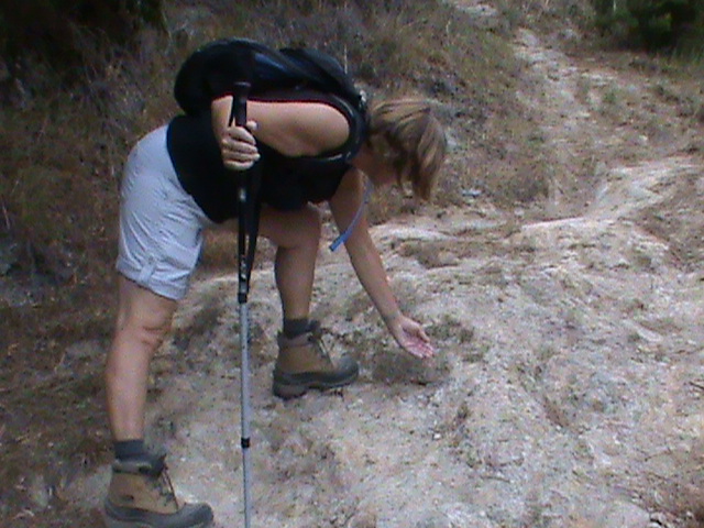 090901i.JPG