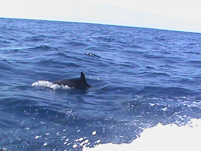 090902c.JPG