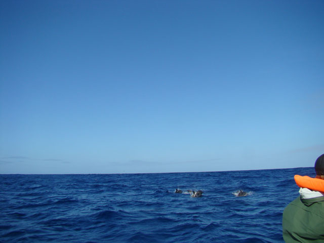 090902d.JPG