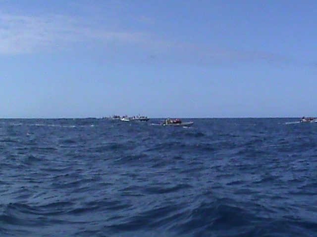 090902g.JPG