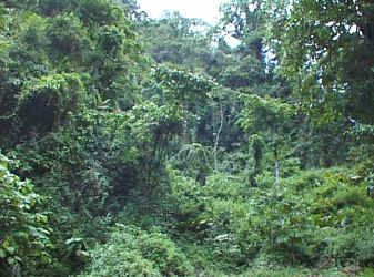 mv3.jpg