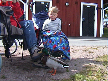 danmark-0434.jpg