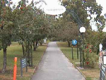 hjo-020906.jpg