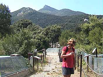 070624e.jpg