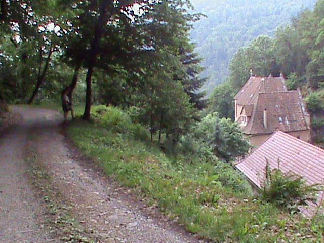100613b.jpg