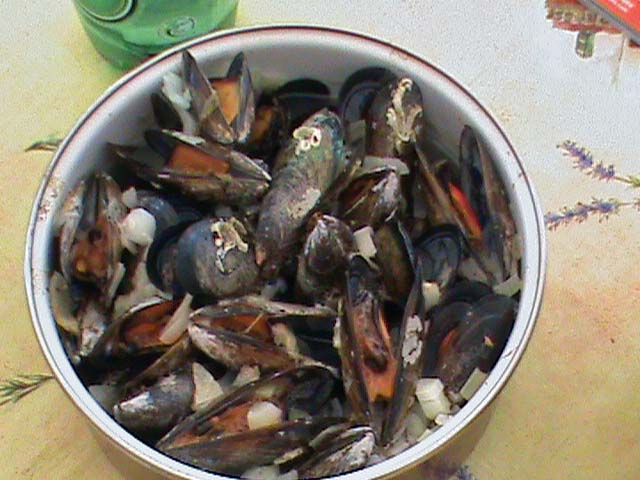 100621b.jpg