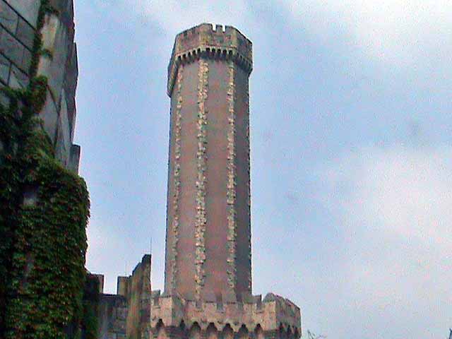 080608c.jpg