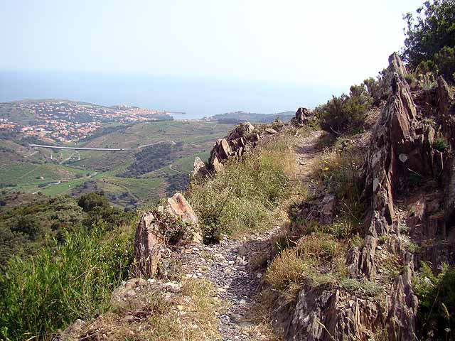 080624e.jpg