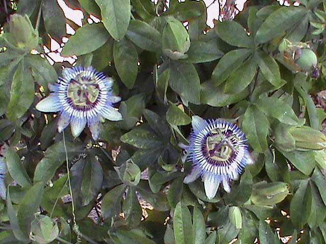 090611g.jpg