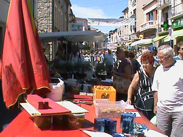 090620b.jpg