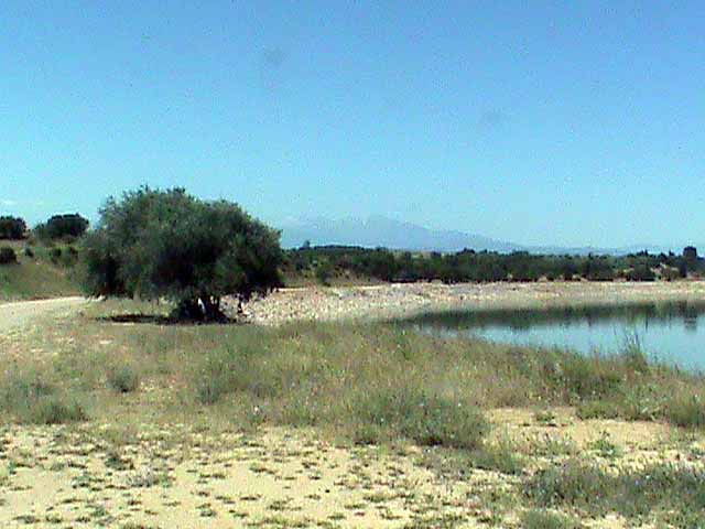 090624c.jpg
