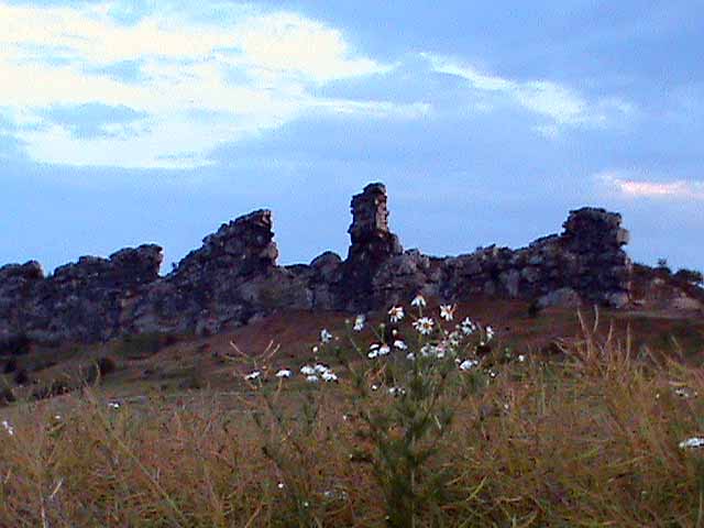 090701l.jpg
