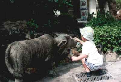 thailand09.jpg