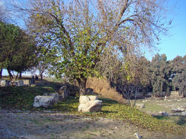 111214d.jpg